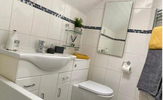 Cotswolds Lakeside Lodge - Nesbitt's Nest South Cerney Buitenkant foto